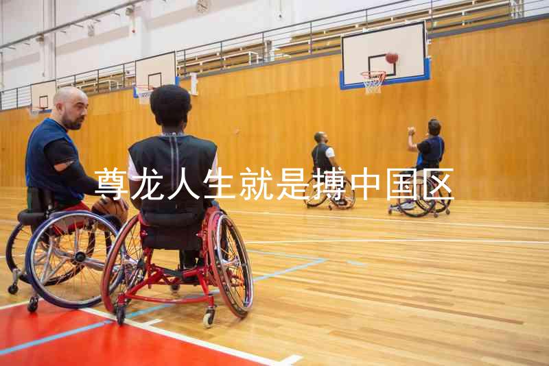 尊龙人生就是搏中国区